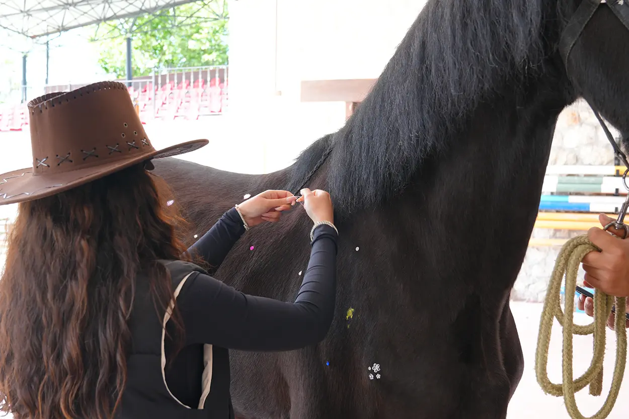 Çiftlik Hayvanları