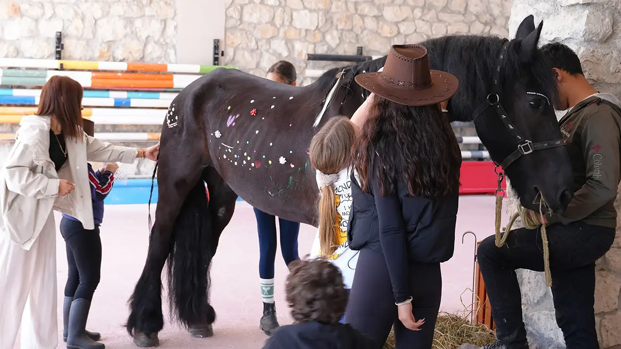 Çiftlik Hayvanları